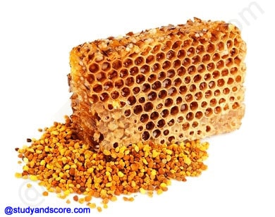 honey bee, bee wax, commercial production of honey, products of bee hive